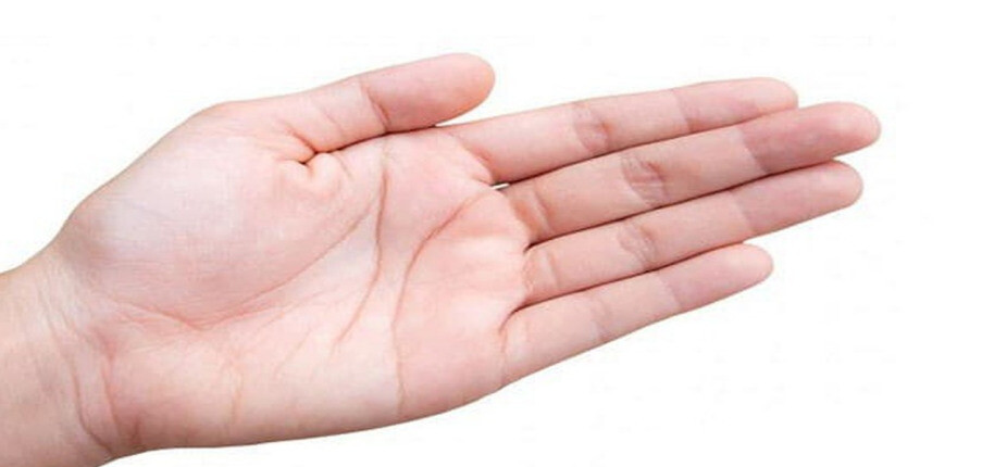 Bàn tay: Cấu tạo, chức năng và các bệnh lý thường gặp