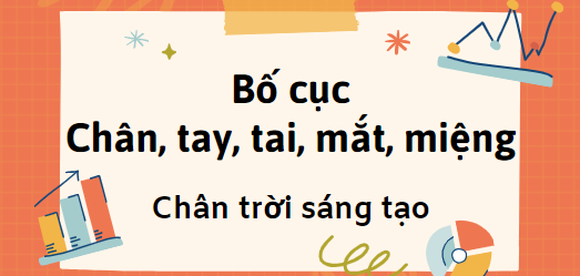 Bố cục Chân, tay, tai, mắt, miệng (2024) chính xác nhất lớp 7 - Chân trời sáng tạo