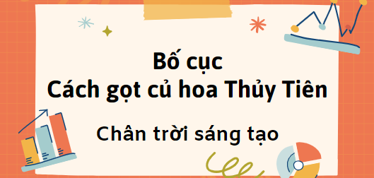 Bố cục Cách gọt củ hoa Thủy Tiên (2024) chính xác nhất lớp 7 - Chân trời sáng tạo