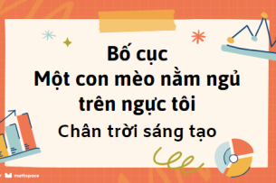 Bố cục Một con mèo nằm ngủ trên ngực tôi (2024) chính xác nhất lớp 7 - Chân trời sáng tạo