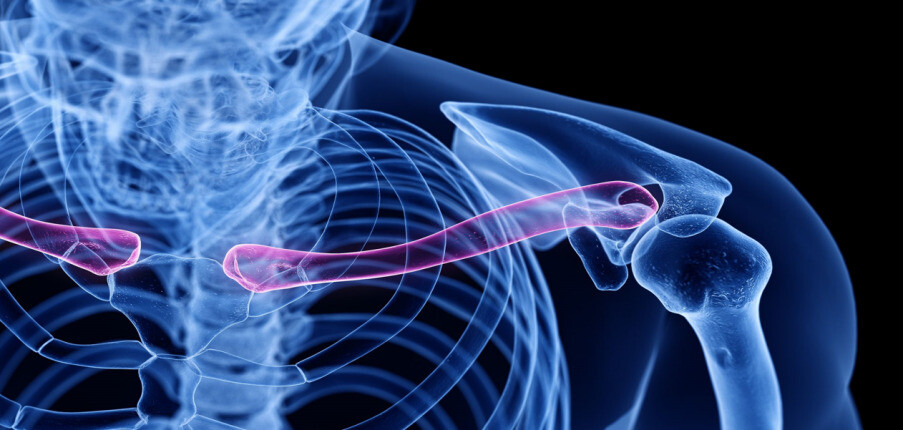 Xương đòn (xương quai xanh): Giải phẫu, chức năng, các bệnh lý thường gặp và điều trị
