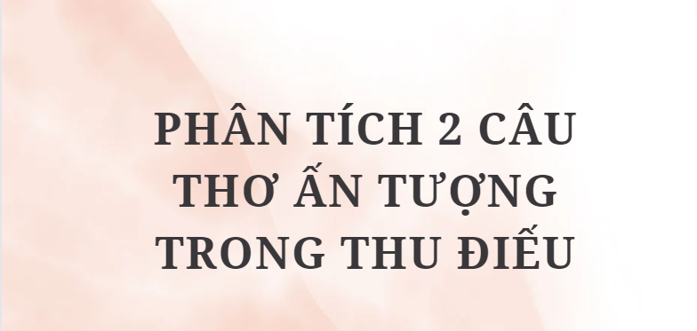 TOP 5 Bài văn Phân tích 2 câu thơ ấn tượng trong Thu điếu (2024) HAY NHẤT