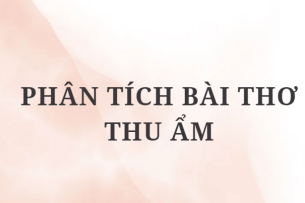 TOP 5 Bài văn Phân tích bài thơ Thu ẩm (2024) HAY NHẤT