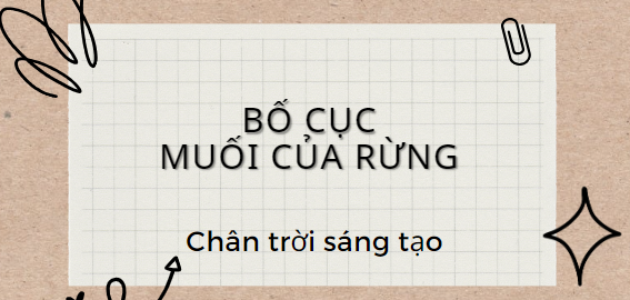 Bố cục Muối của rừng (2024) chính xác nhất lớp 11 - Chân trời sáng tạo