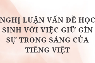 TOP 10 Bài văn Nghị luận vấn đề học sinh với việc giữ gìn sự trong sáng của tiếng Việt (2024) HAY NHẤT