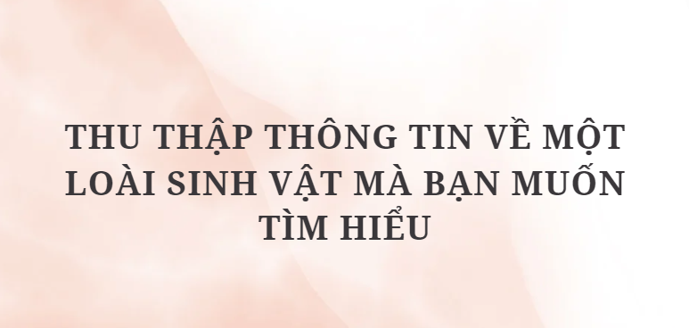 TOP 10 Đoạn văn Thu thập thông tin về một loài sinh vật mà bạn muốn tìm hiểu (2024) HAY NHẤT