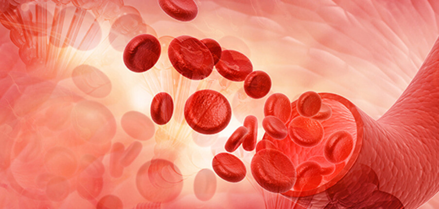 Thiếu máu tan máu: Triệu chứng, nguyên nhân và cách điều trị