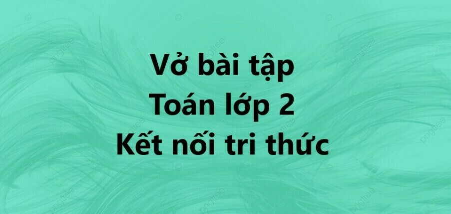 Vở bài tập Toán lớp 2 trang 5, 6, 7, 8, 9 Bài 3 Các thành phần của phép cộng, phép trừ - Kết nối tri thức