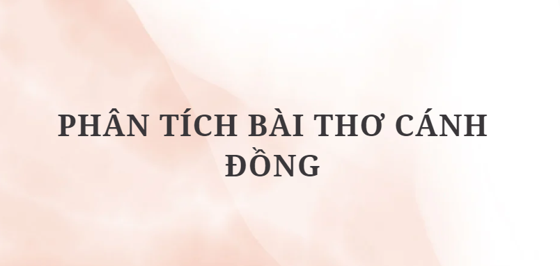 TOP 2 Bài văn Phân tích bài thơ Cánh đồng (2024) HAY NHẤT