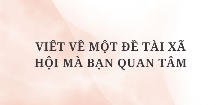 TOP 12 Bài văn Viết về một đề tài xã hội mà bạn quan tâm (2024) HAY NHẤT