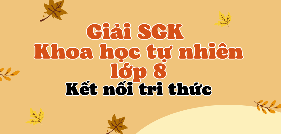 Giải SGK Khoa học tự nhiên 8 (Kết nối tri thức) Bài 36: Điều hòa môi trường trong của cơ thể người