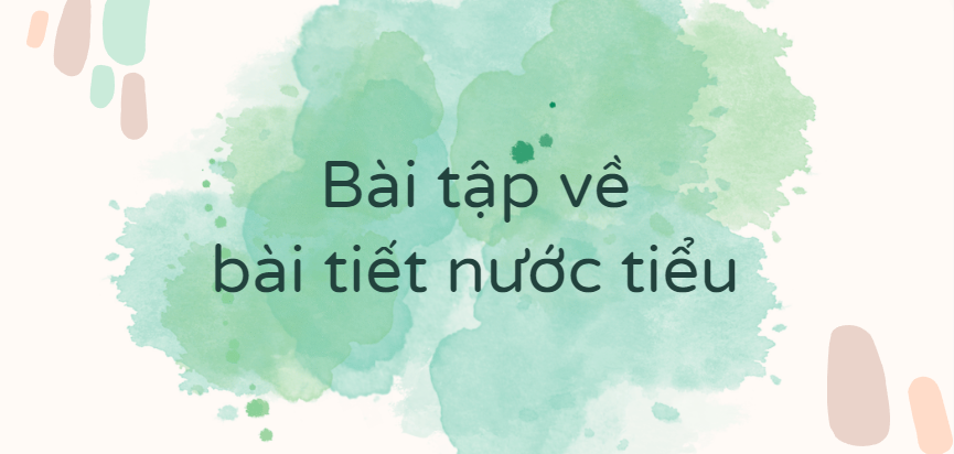 30 Bài tập về bài tiết nước tiểu (2024) có đáp án chi tiết nhất