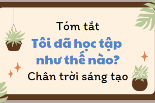 Tóm tắt Tôi đã học tập như thế nào? (10 mẫu) 2024 mới nhất - Chân trời sáng tạo