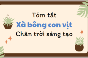 Tóm tắt Xà bông con vịt (10 mẫu) 2024 mới nhất - Chân trời sáng tạo