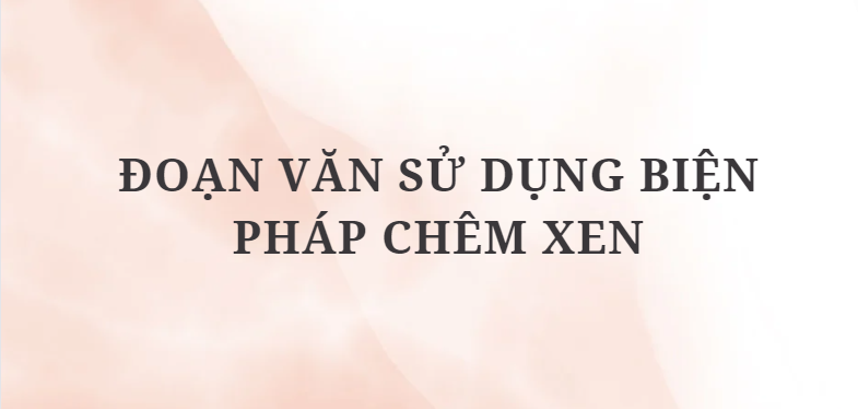 TOP 10 Đoạn văn sử dụng biện pháp chêm xen (2024) HAY NHẤT