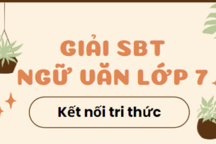 Giải SBT Ngữ Văn 7 Bài 9: Hoà điệu với tự nhiên - Kết nối tri thức