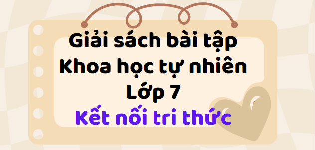 Sách bài tập KHTN 7 (Kết nối tri thức) Bài 30: Trao đổi nước và chất dinh dưỡng ở thực vật