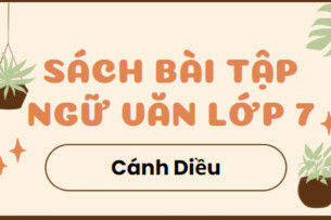 Giải SBT Ngữ Văn 7 Bài 2: Thơ bốn chữ, năm chữ - Cánh diều