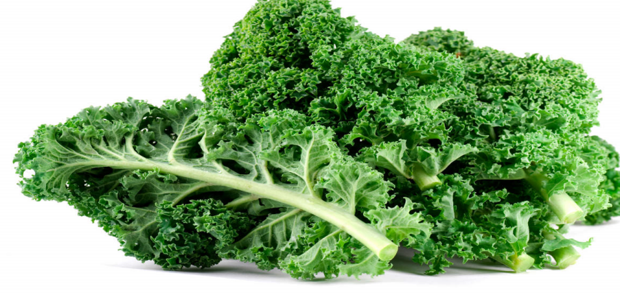 Giá trị dinh dưỡng và lợi ích sức khỏe của cải xoăn kale