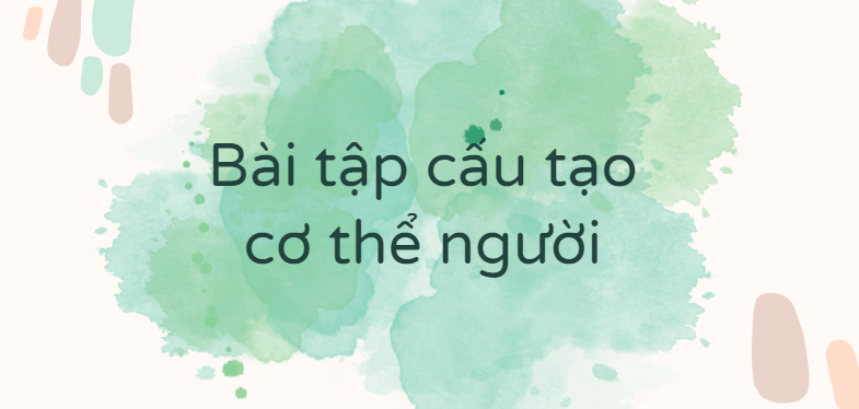 30 Bài tập cấu tạo cơ thể người (2024) có đáp án chi tiết nhất