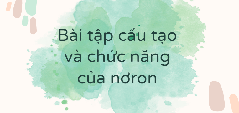 30 Bài tập cấu tạo và chức năng của nơron (2024) có đáp án chi tiết nhất