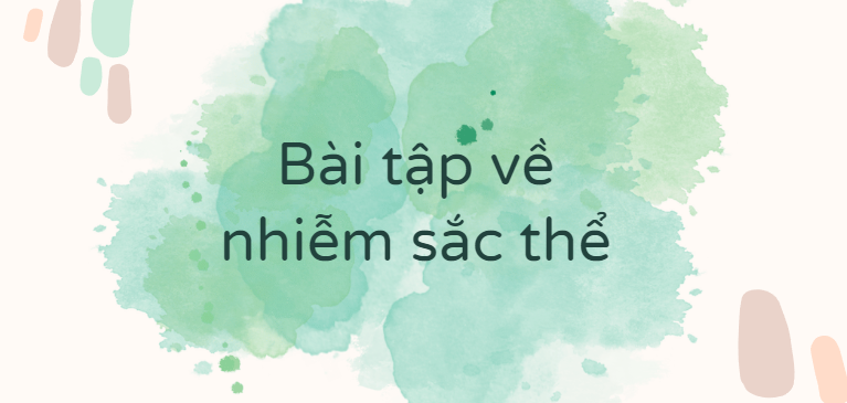 30 Bài tập về nhiễm sắc thể (2024) có đáp án chi tiết nhất