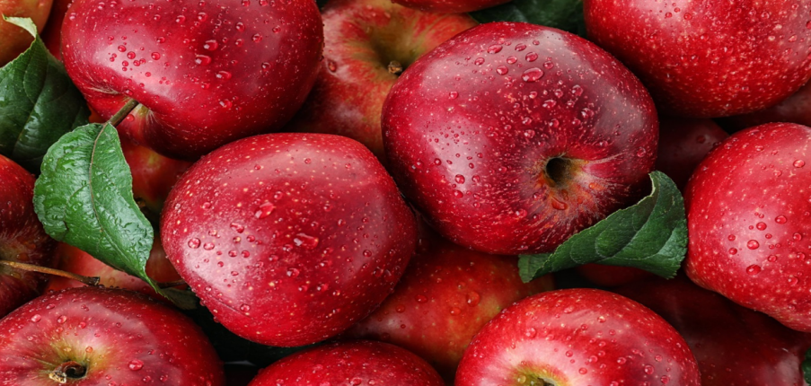 Quả táo: Giá trị dinh dưỡng và lợi ích sức khỏe