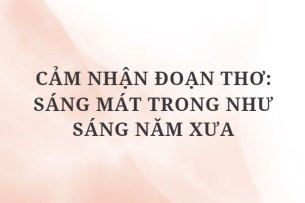 TOP 6 Bài văn Cảm nhận đoạn thơ: Sáng mát trong như sáng năm xưa (2024) HAY NHẤT