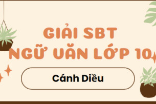 Giải SBT Ngữ Văn 10 Bài 5: Thơ Văn Nguyễn Trãi - Cánh diều