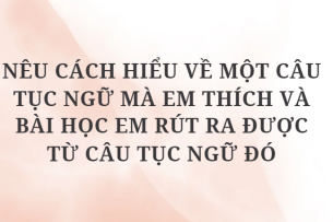 TOP 10 Bài mẫu Nêu cách hiểu về một câu tục ngữ mà em thích và bài học em rút ra được từ câu tục ngữ đó (2024) HAY NHẤT