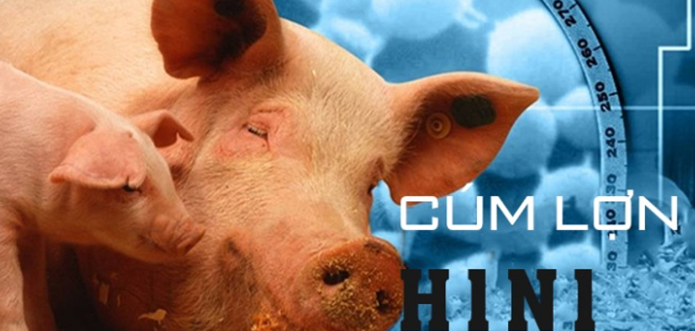 Khẩu trang và cúm lợn (H1N1)