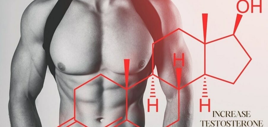 Tập thể dục có làm tăng mức testosterone không? Hướng dẫn các bài tập hiệu quả cao