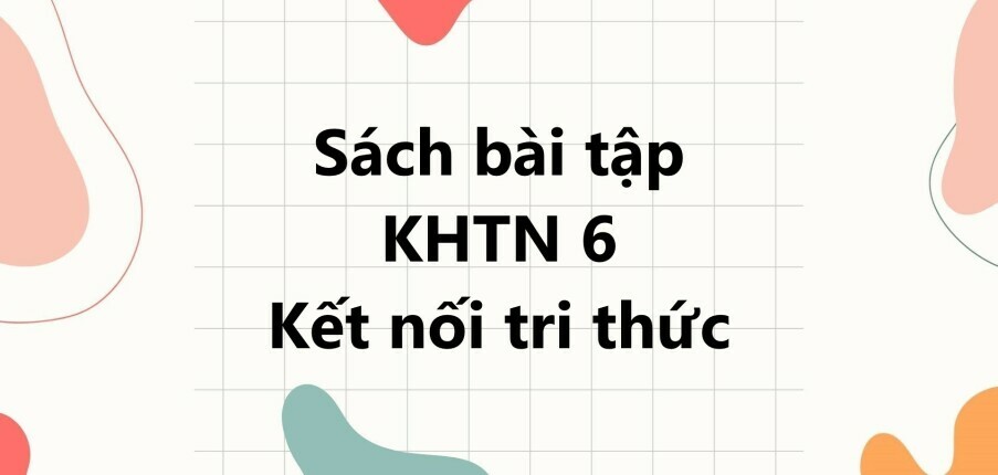 Sách bài tập KHTN 6 (Kết nối tri thức) Bài 5: Đo chiều dài