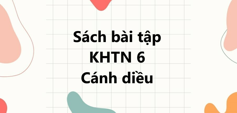 Sách bài tập KHTN 6 (Cánh diều) Bài 5: Sự đa dạng của chất