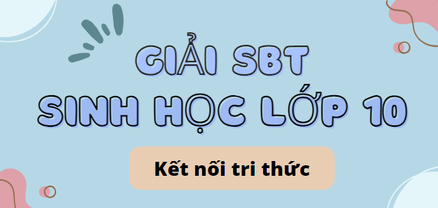 Giải SBT Sinh học 10 (Kết nối tri thức) Chương 3: Trao đổi chất qua màng và truyền tin tế báo