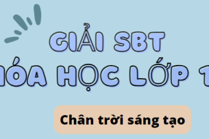 Giải SBT Hóa học 10 (Chân trời sáng tạo) Bài 15: Phương trình tốc độ phản ứng và hằng số tốc độ phản ứng