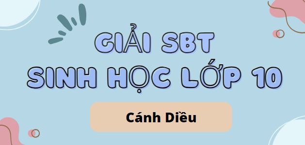 Giải SBT Sinh học 10 (Cánh diều) Chủ đề 7: Thông tin giữa các tế bào, chu kì tế bào và phân bào