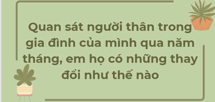 TOP 12 Đoạn văn Quan sát người thân trong gia đình của mình qua năm tháng, em họ có những thay đổi như thế nào (2024) HAY NHẤT