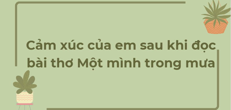 TOP 12 Bài văn Cảm xúc của em sau khi đọc bài thơ Một mình trong mưa (2024) HAY NHẤT