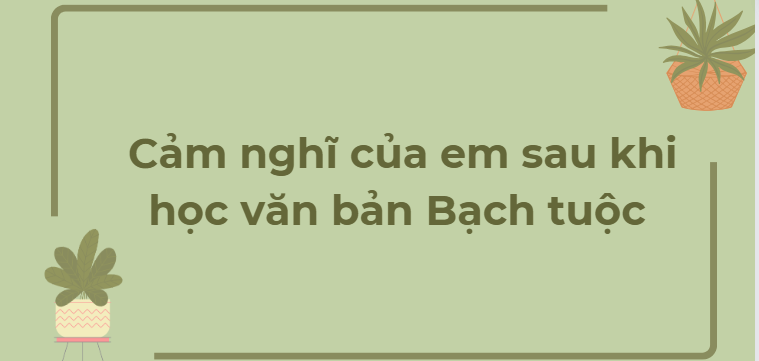 TOP 11 Đoạn văn Cảm nghĩ của em sau khi học văn bản Bạch tuộc (2024) HAY NHẤT