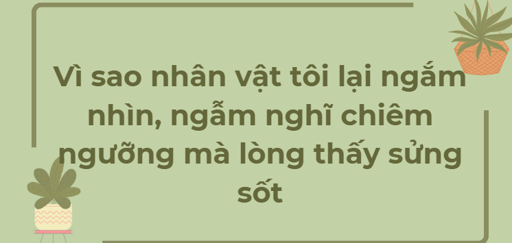 TOP 12 Đoạn văn Vì sao nhân vật tôi lại ngắm nhìn, ngẫm nghĩ chiêm ngưỡng mà lòng thấy sửng sốt (2024) HAY NHẤT