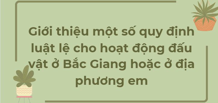 TOP 10 Bài văn Giới thiệu một số quy định luật lệ cho hoạt động đấu vật ở Bắc Giang hoặc ở địa phương em (2024) HAY NHẤT