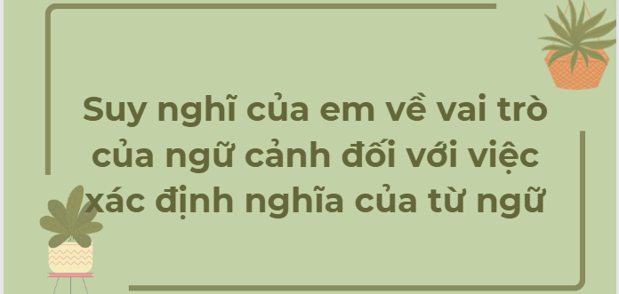 TOP 10 Bài văn Suy nghĩ của em về vai trò của ngữ cảnh đối với việc xác định nghĩa của từ ngữ (2024) HAY NHẤT