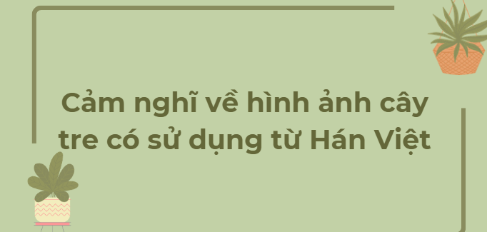 TOP 16 Bài văn Cảm nghĩ về hình ảnh cây tre có sử dụng từ Hán Việt (2024) HAY NHẤT