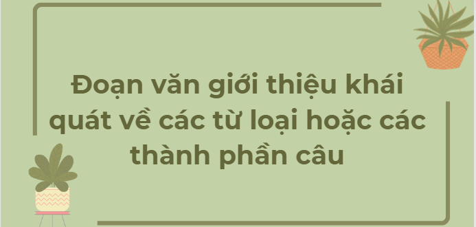 TOP 10 Đoạn văn giới thiệu khái quát về các từ loại hoặc các thành phần câu (2024) HAY NHẤT