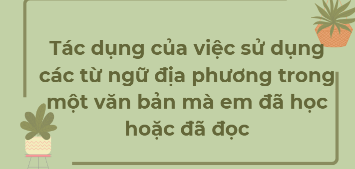 TOP 11 Đoạn văn Tác dụng của việc sử dụng các từ ngữ địa phương trong một văn bản mà em đã học hoặc đã đọc (2024) HAY NHẤT