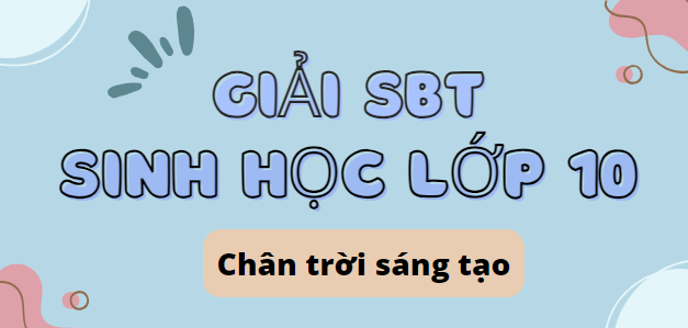 Giải SBT Sinh học 10 (Chân trời sáng tạo) Bài 14: Thực hành: Một số thí nghiệm về enzyme