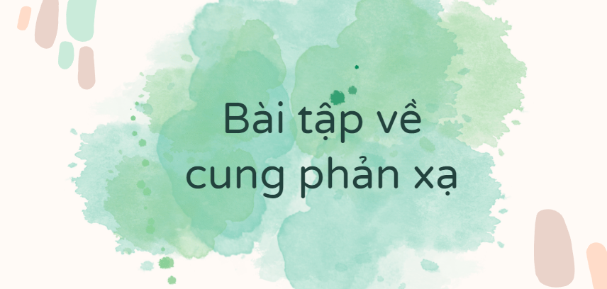 30 Bài tập về cung phản xạ (2024) có đáp án chi tiết nhất