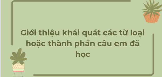 TOP 11  Đoạn văn Giới thiệu khái quát các từ loại hoặc thành phần câu em đã học (2024) HAY NHẤT