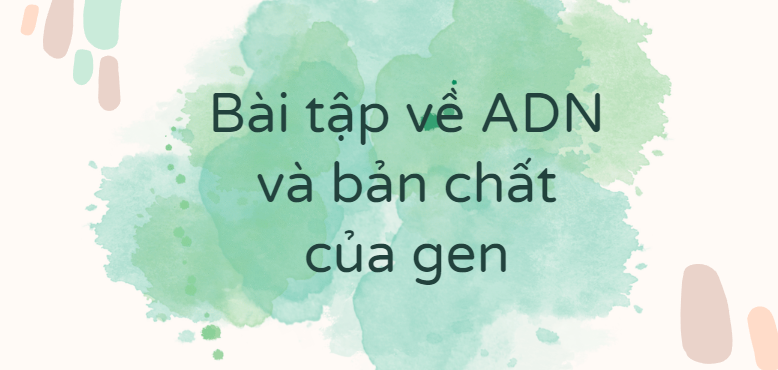 30 Bài tập về ADN và bản chất của gen (2024) có đáp án chi tiết nhất